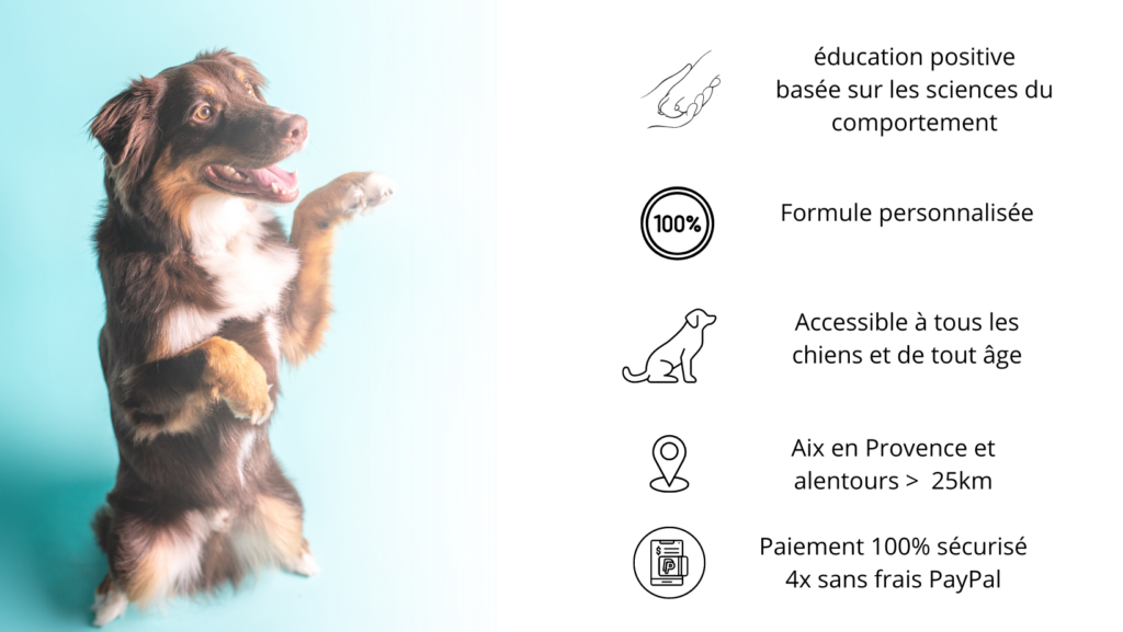 éducation canine aix en provence