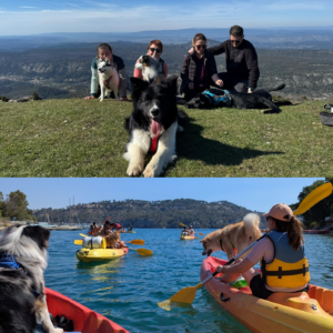 Activités ludiques pour chiens à Aix en Provence